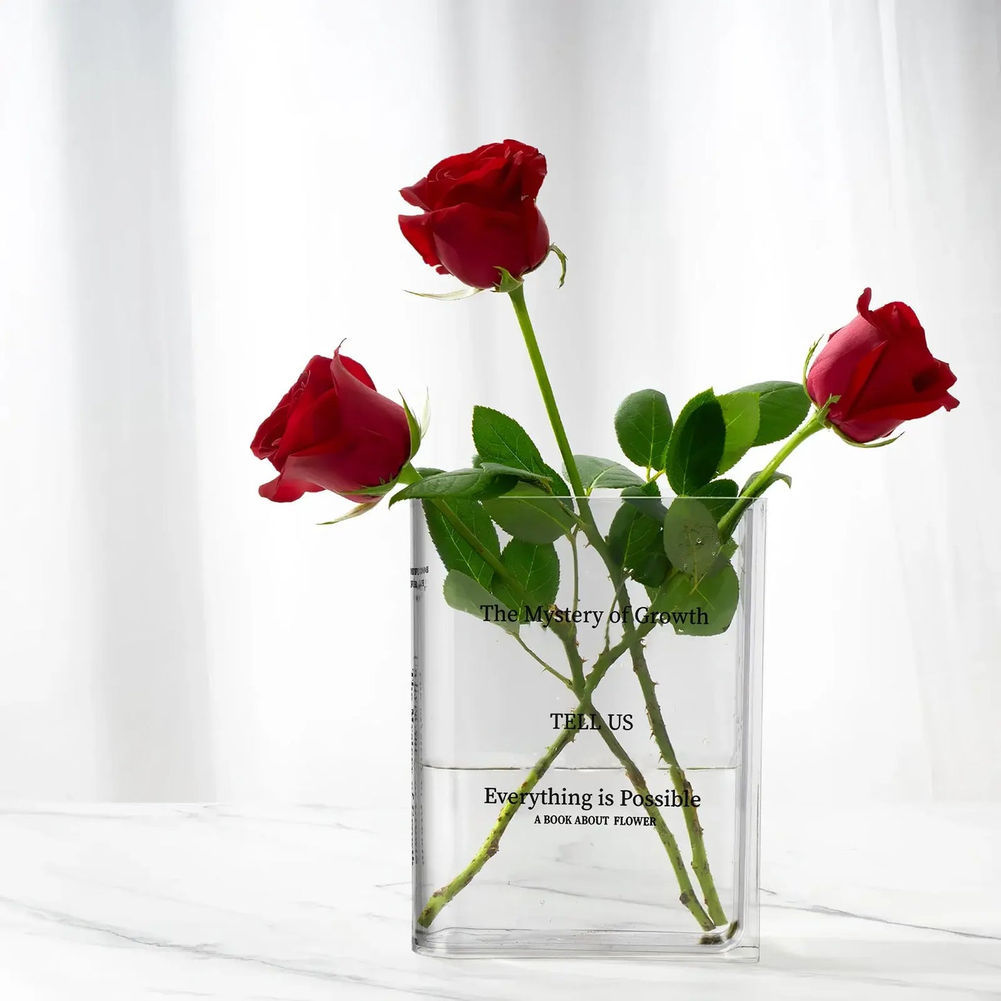 Clear Book Vase